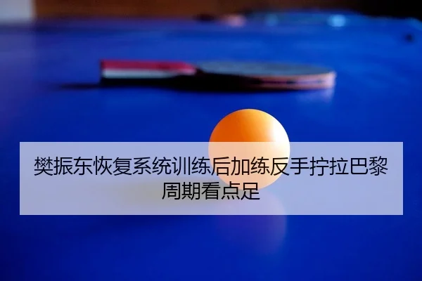 樊振东恢复系统训练后加练反手拧拉巴黎周期看点足